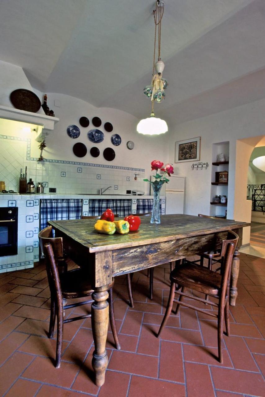 Villa Paradiso Castiglioncello Zewnętrze zdjęcie
