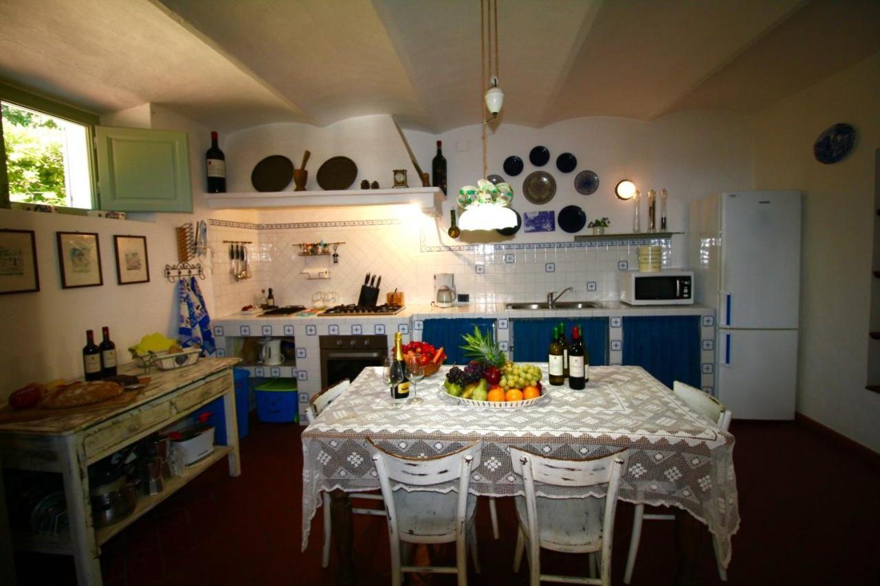 Villa Paradiso Castiglioncello Zewnętrze zdjęcie